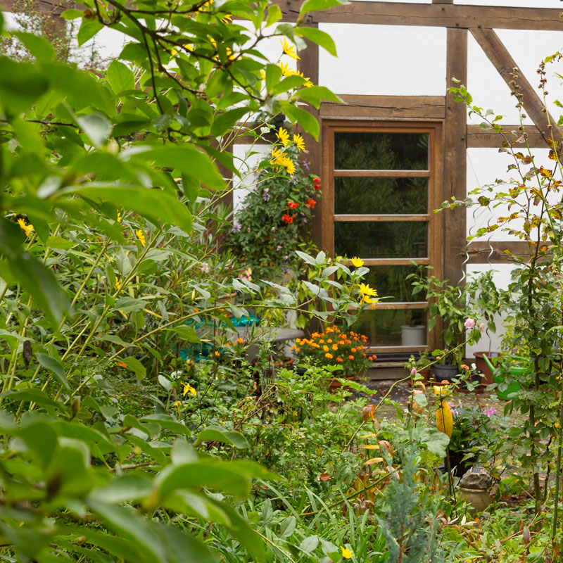 das haus der stille weitenhagen im herbst am fenster in weitenhagen